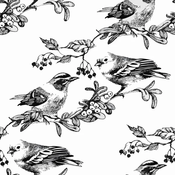 Acquerello Uccelli esotici selvatici sui fiori modello senza soluzione di continuità su sfondo bianco — Vettoriale Stock