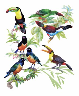 Watercolor hand drawn pattern with tropical summer flowers of and exotic birds