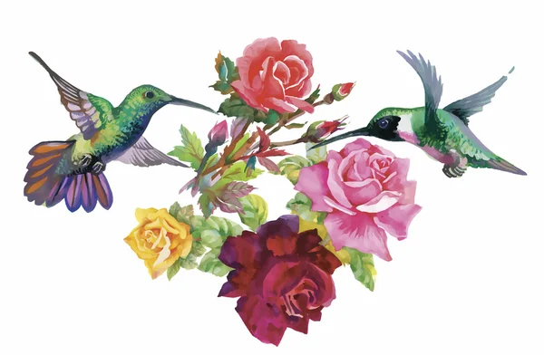 Acuarela patrón dibujado a mano con flores tropicales de verano y aves exóticas — Vector de stock