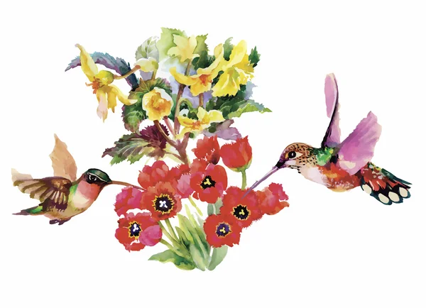 Modello disegnato a mano acquerello con fiori estivi tropicali e uccelli esotici — Vettoriale Stock