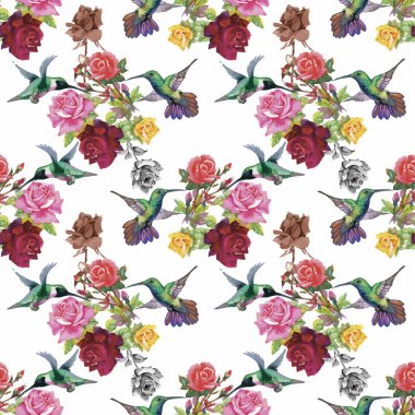 Tropikal çiçek suluboya seamless modeli ile colibris ve çiçekler. Suluboya resim.