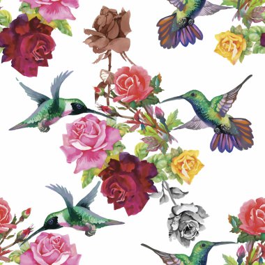 Tropikal çiçek suluboya seamless modeli ile colibris ve çiçekler. Suluboya resim.