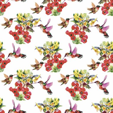 Tropikal çiçek suluboya seamless modeli ile colibris ve çiçekler. Suluboya resim.