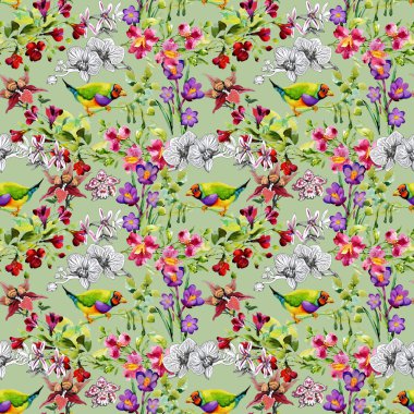 tropikal kuşlar ve egzotik çiçekler