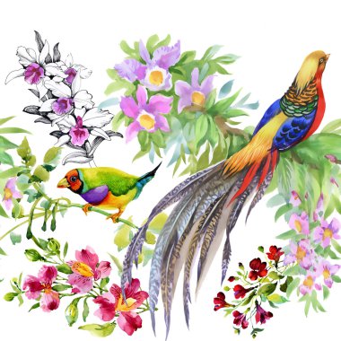 tropikal kuşlar ve egzotik çiçekler