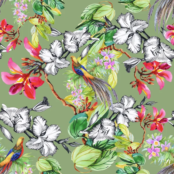 Tropische vogels en exotische bloemen — Stockfoto
