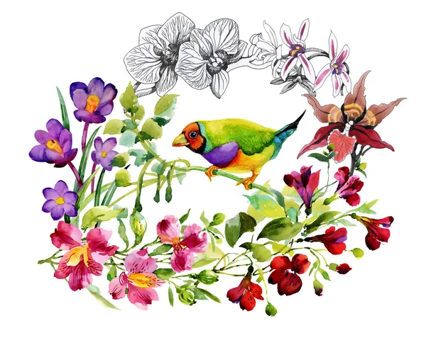 Oiseaux tropicaux et fleurs exotiques — Photo