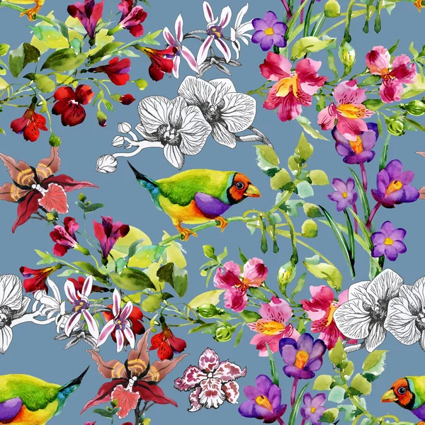 Oiseaux tropicaux et fleurs exotiques — Photo