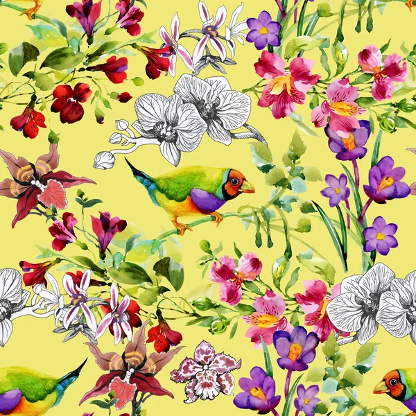 Tropische Vögel und exotische Blumen — Stockfoto