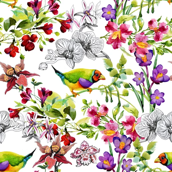 Oiseaux tropicaux et fleurs exotiques — Photo