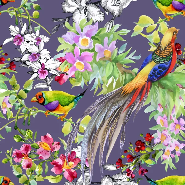 Tropische vogels en exotische bloemen — Stockfoto