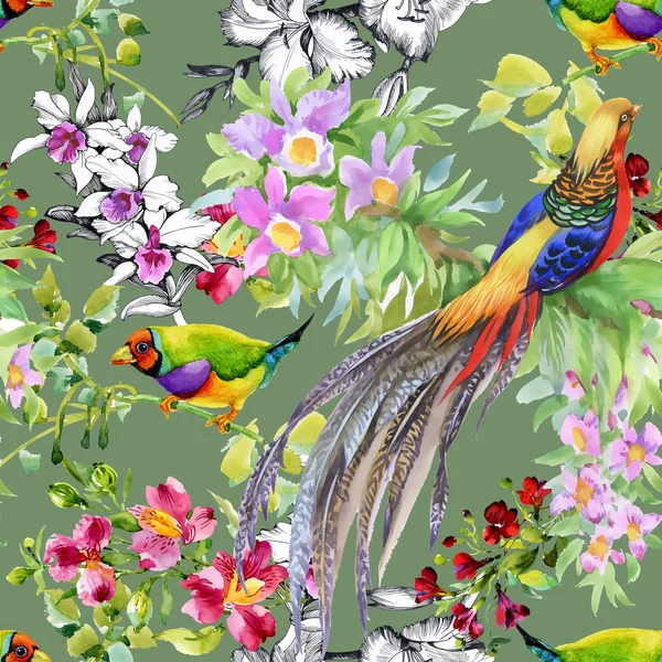Tropiska fåglar och exotiska blommor — Stockfoto
