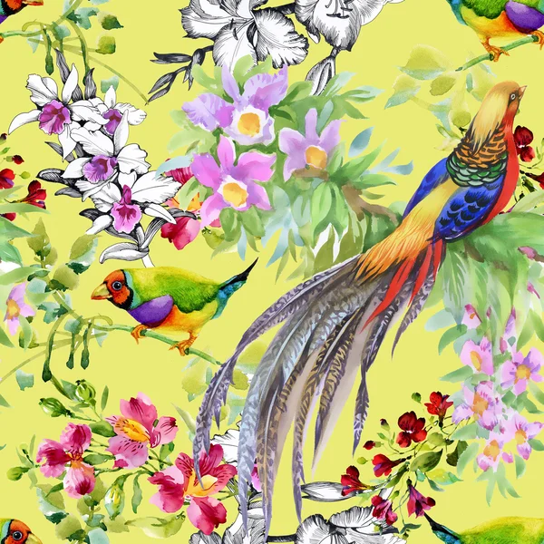 Тропические птицы и экзотические цветы — стоковое фото