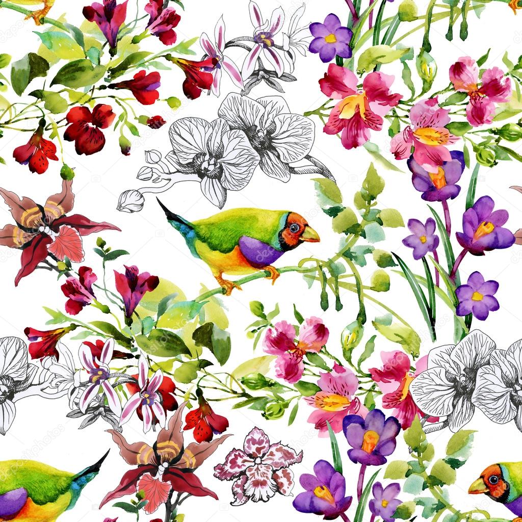 tropical  birds and exotic flowers