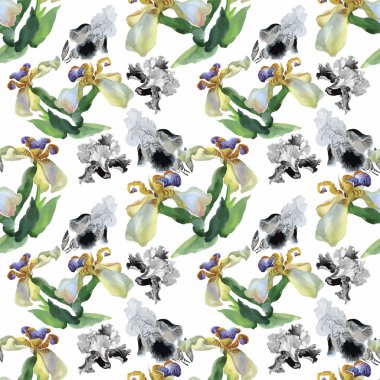 Suluboya süsen ile Seamless modeli. Vektör çizim