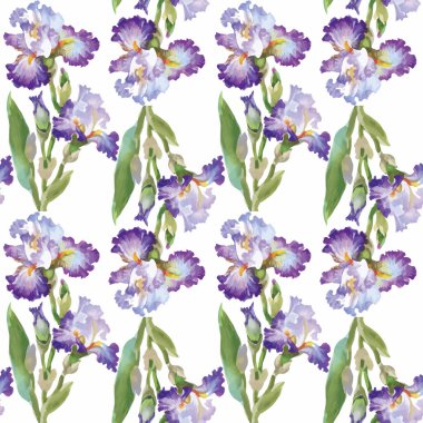 Suluboya süsen ile Seamless modeli. Vektör çizim