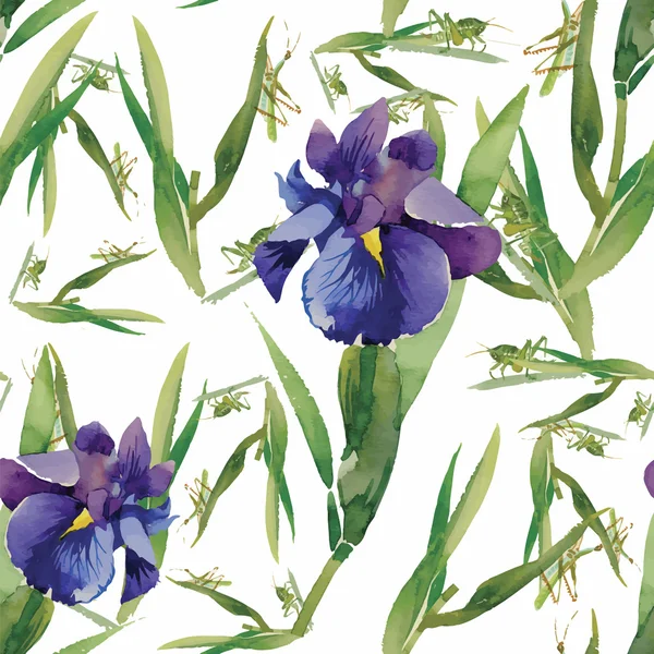 Seamless mönster med akvarell Iris. Vektor illustration — Stock vektor