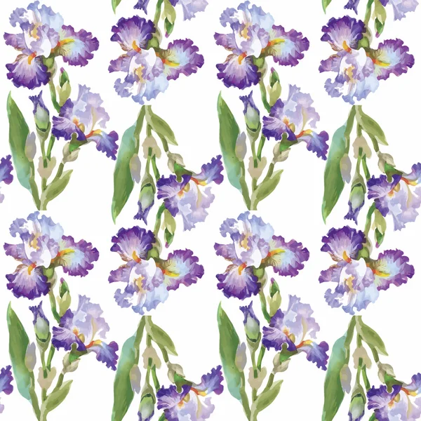 Seamless mönster med akvarell Iris. Vektor illustration — Stock vektor