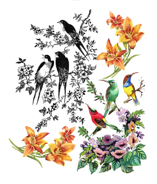 Tropische Vögel und exotische Blumen — Stockfoto