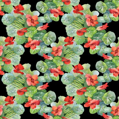 Kırmızı nilüfer çiçekleri