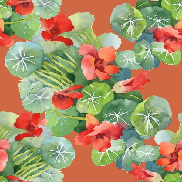Rode waterlelie bloemen — Stockfoto
