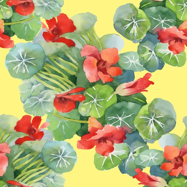 Rode waterlelie bloemen — Stockfoto