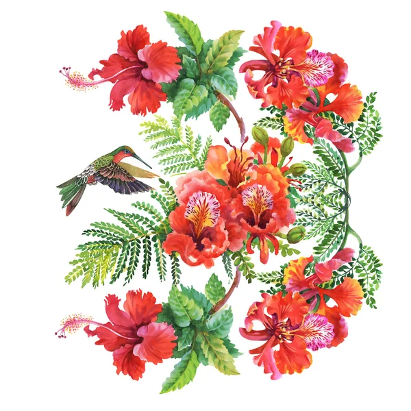 Alstroemeria 꽃과 벌 새 패턴 — 스톡 사진