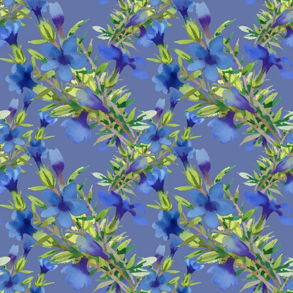 Watercolor blue flowers — Stock Photo, Image