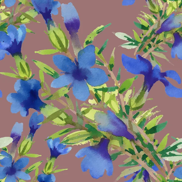 Watercolor blue flowers — Stock Photo, Image