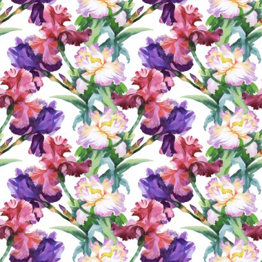 Desen renkli Iris çiçekli