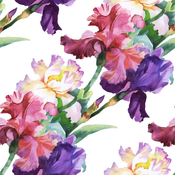 Pattern with colorful Iris flowers — Stock Photo, Image