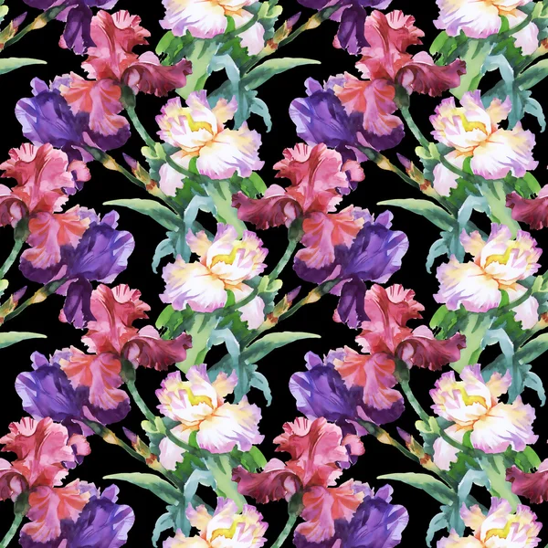 화려한 아이리스 꽃 패턴 — 스톡 사진
