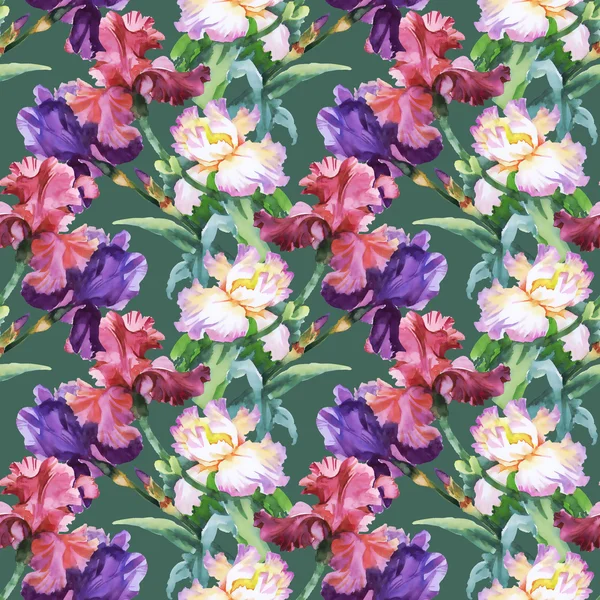 Modello con fiori di iris colorati — Foto Stock