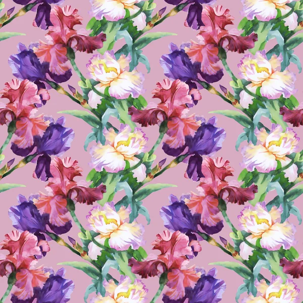 Pattern with colorful Iris flowers — Stock Photo, Image