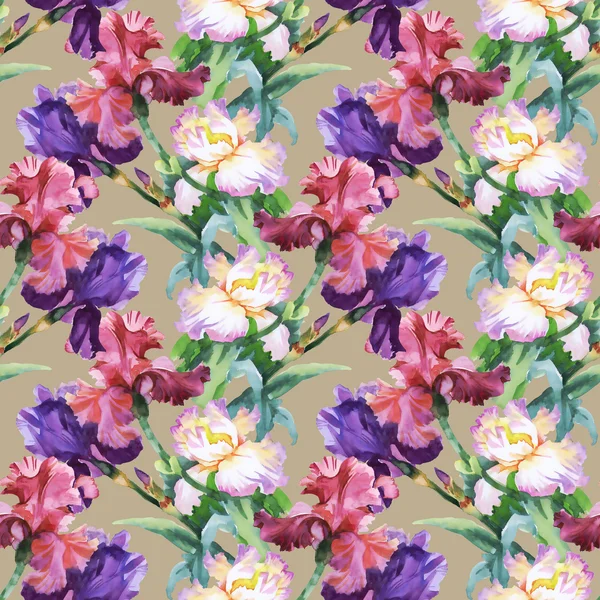 Pattern with colorful Iris flowers — Stock Photo, Image