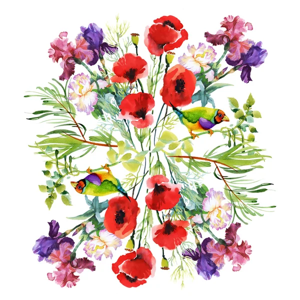 Красные маки и луговые цветы — стоковое фото