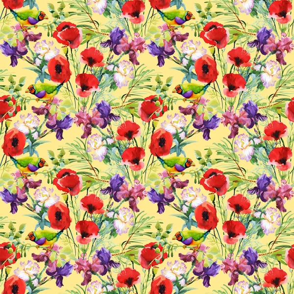 Papoilas vermelhas e flores de prado — Fotografia de Stock