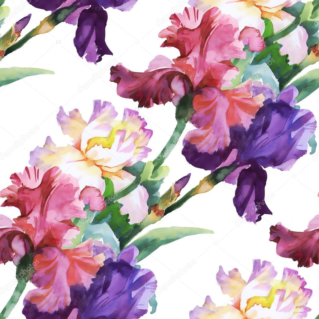 Pattern with colorful Iris flowers