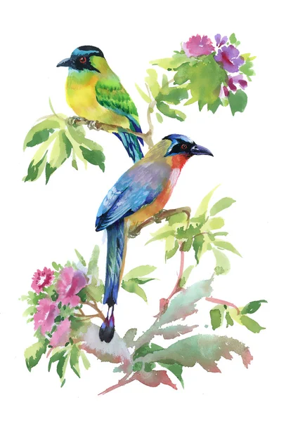 Акварель різнобарвними птахами — стокове фото