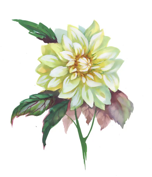 Akvarel květ s listy — Stock fotografie
