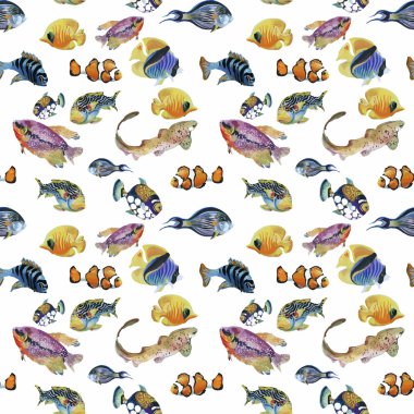 Deniz yaşamı suluboya seamless modeli ile tropikal balık