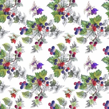 Seamless suluboya modeli ile yaprakları ve meyveleri