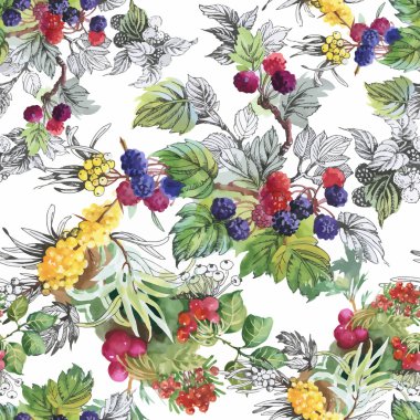 Seamless suluboya modeli ile yaprakları ve meyveleri