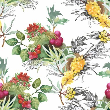 Seamless suluboya modeli ile yaprakları ve meyveleri