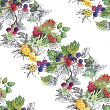 Seamless suluboya modeli ile yaprakları ve meyveleri