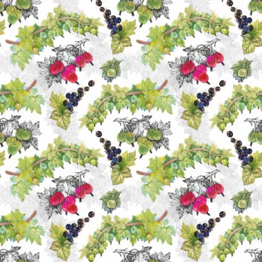 Seamless suluboya modeli ile yaprakları ve meyveleri