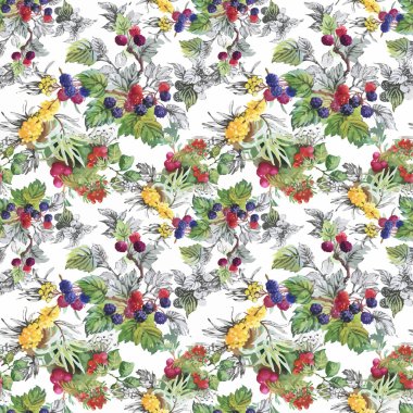 Seamless suluboya modeli ile yaprakları ve meyveleri