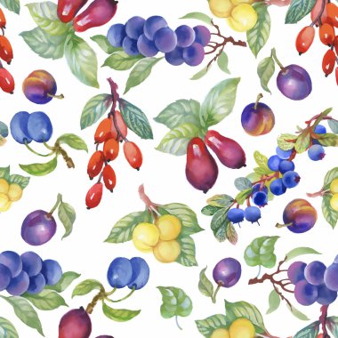 Seamless suluboya modeli ile yaprakları ve meyveleri