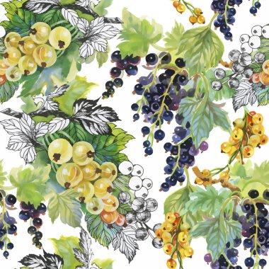 Seamless suluboya modeli ile yaprakları ve meyveleri