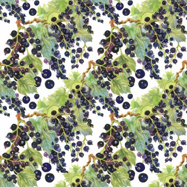 Seamless suluboya modeli ile yaprakları ve meyveleri